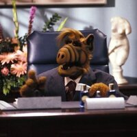 Alf