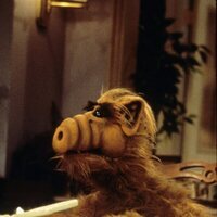 Alf