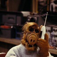 Alf