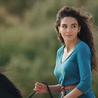 Hercai