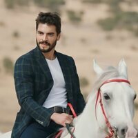 Hercai