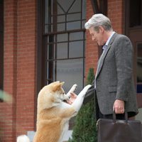 Siempre a tu lado. Hachiko