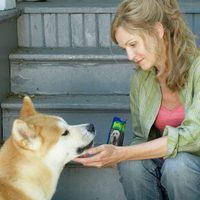 Siempre a tu lado. Hachiko