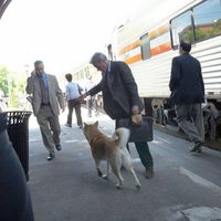 Siempre a tu lado. Hachiko