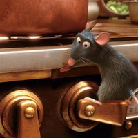 Ratatouille