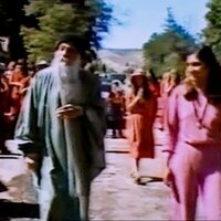 Wild Wild Country