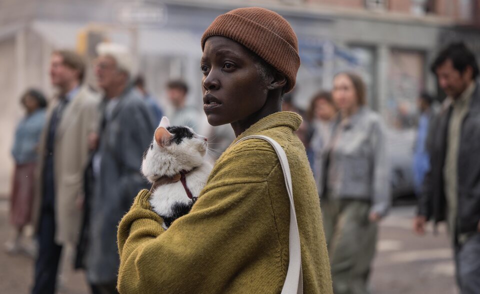 Lupita Nyong'o, de gatofóbica a gatolover