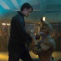 Altered Carbon