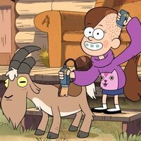 Gravity Falls