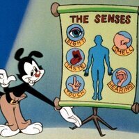 Animaniacs