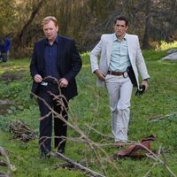 CSI: Miami