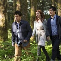 The Librarians