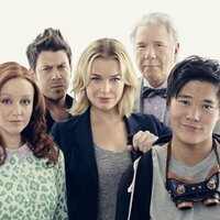 The Librarians