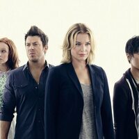 The Librarians