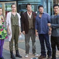 The Librarians