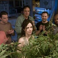 Weeds