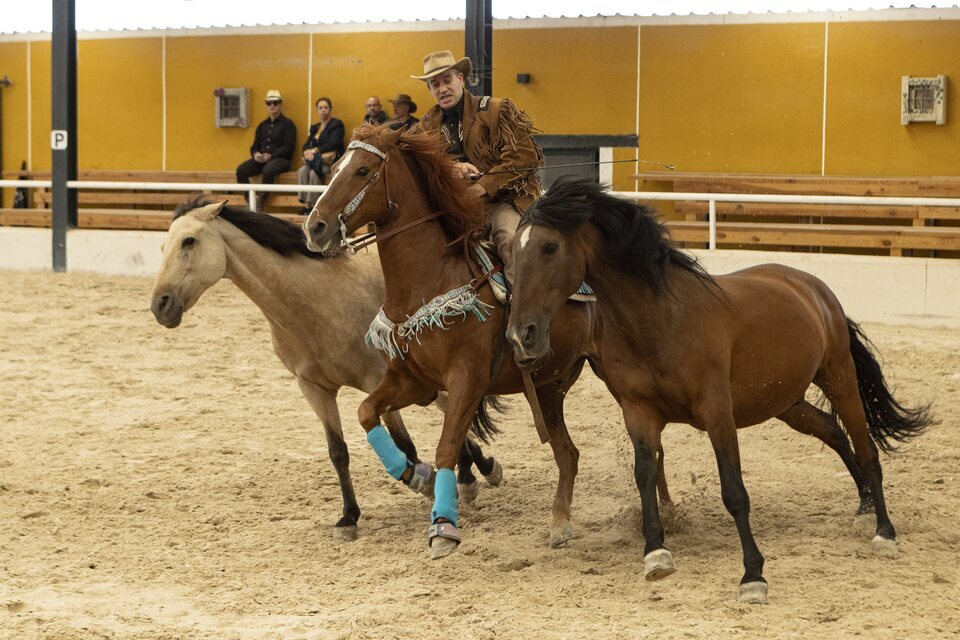 Experiencia cowboy 'Yellowstone'