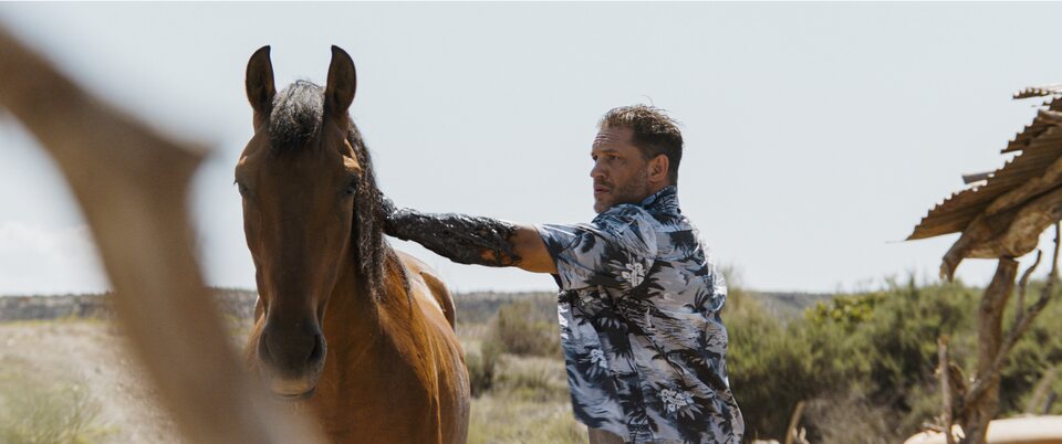 Eddie Brock (Tom Hardy) montará a caballo en 'Venom: El último baile' de una forma... especial