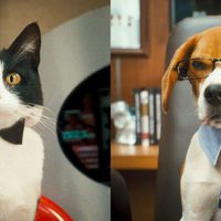 Como perros y gatos: La revancha de Kitty Galore