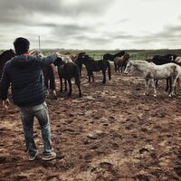 El apocalipsis de San Juan