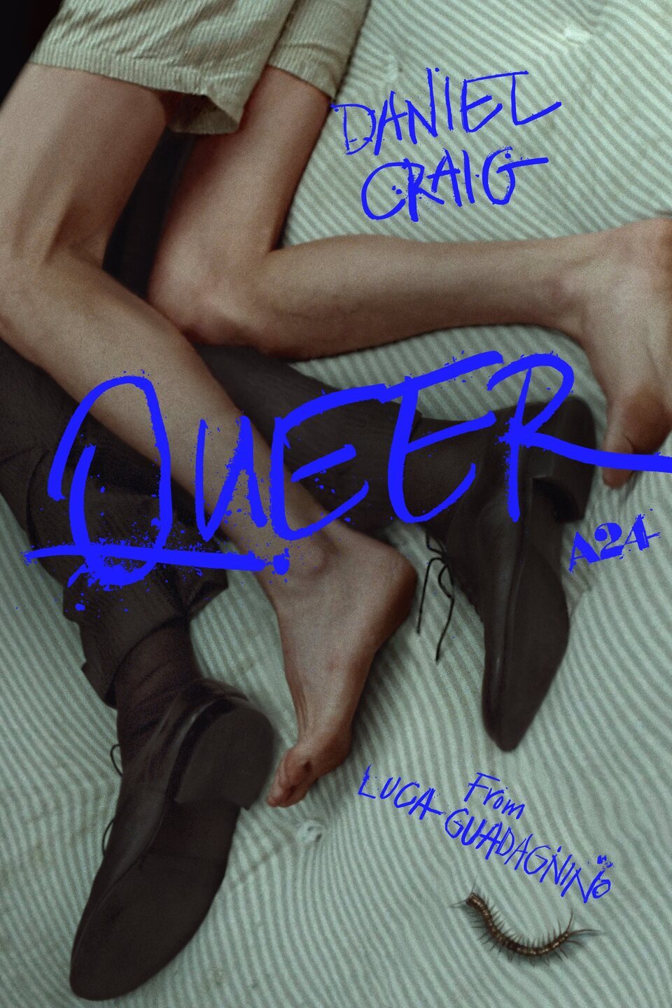 Póster de 'Queer' 3