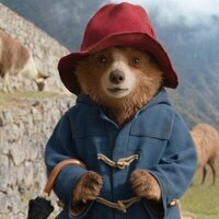 Paddington: Aventura en la selva