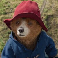 Paddington: Aventura en la selva