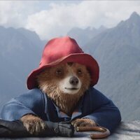 Paddington: Aventura en la selva