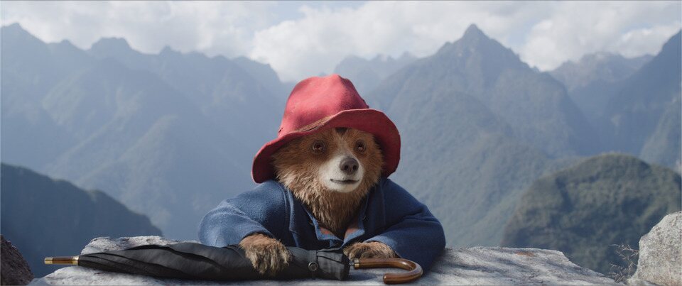 'Paddington: Aventura en la selva' es la siguiente aventura del oso británico