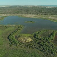 Doñana