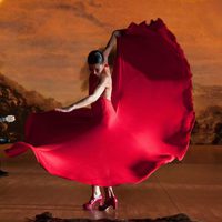 Flamenco, flamenco