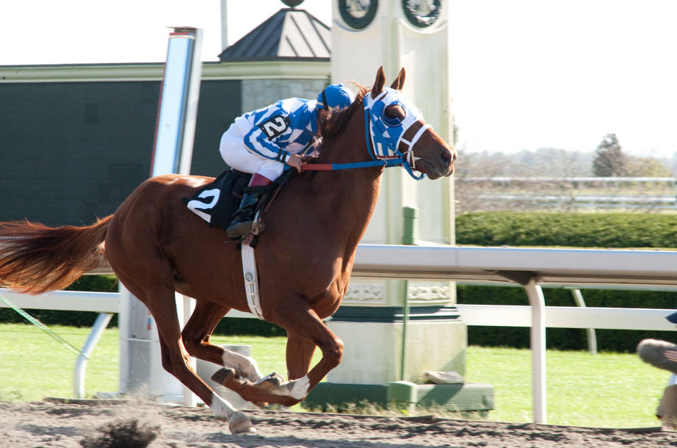 Campeón (Secretariat)