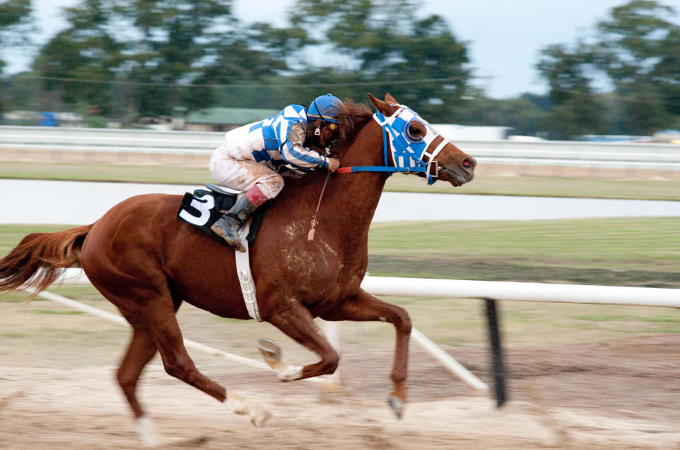 Campeón (Secretariat)