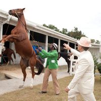 Secretariat