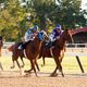 Campeón (Secretariat)