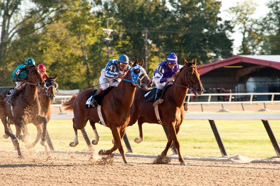 Campeón (Secretariat)