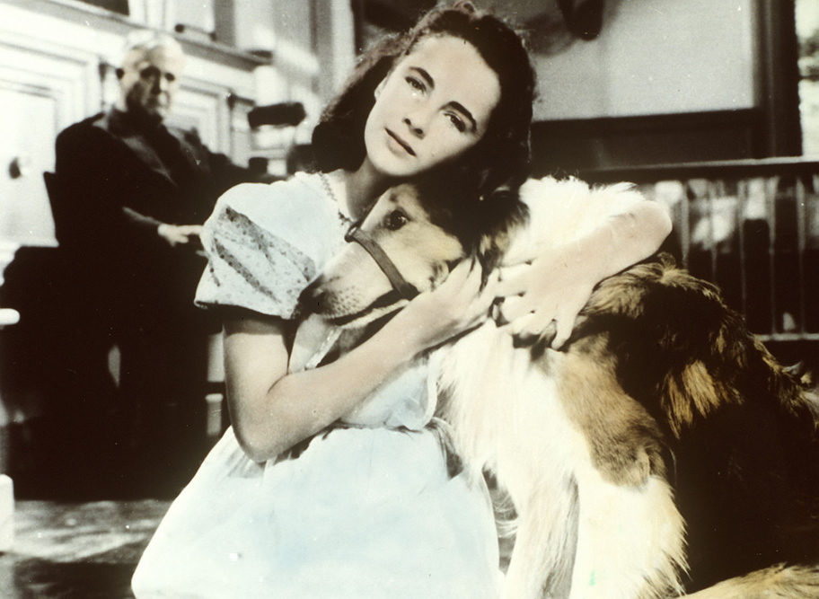 Elizabeth Taylor en 'El coraje de Lassie'