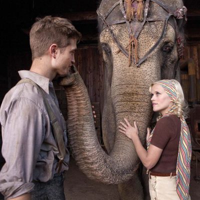 Jacob y Marlena conectan gracias a un elefante