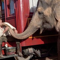 Robert Pattinson congenia con un elefante