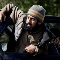 Four lions