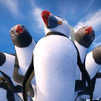 Happy Feet 2