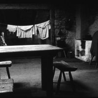 The Turin horse