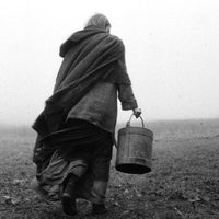 The Turin horse