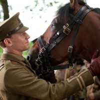 War Horse (Caballo de batalla)