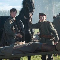 War Horse (Caballo de batalla)