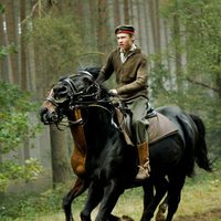 War Horse (Caballo de batalla)