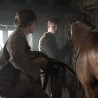 War Horse (Caballo de batalla)