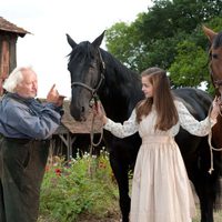 War Horse (Caballo de batalla)