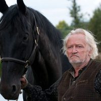 War Horse (Caballo de batalla)