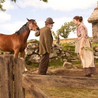 War Horse (Caballo de batalla)